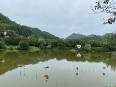 -潜口民宅博物馆