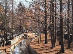 -白水寺森林公园