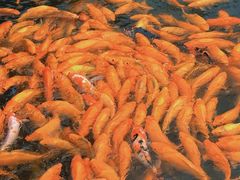 -长春市南湖公园