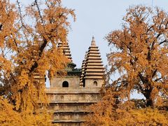 -北京石刻艺术博物馆(五塔寺)
