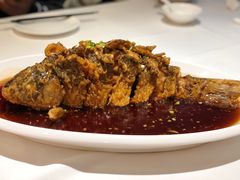 -金春禧(世茂国际广场店)
