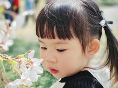 -西北湖绿化广场