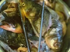 -花鲢鱼头火锅(春城东路店)