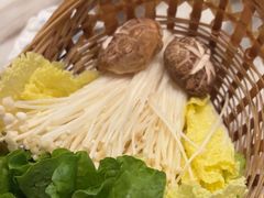 -同仁四季椰子鸡(福田东园总店)