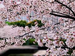 -诺贝尔湖公园