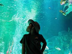 -沈阳海洋探索中心