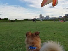 -霞山观海长廊