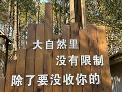 -四明山国家森林公园