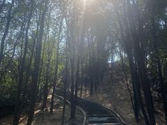-火炉山森林公园