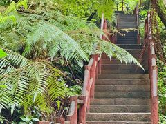 -赤水丹霞旅游区·佛光岩