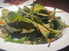 -肆海小川菜酒馆Wine Bistro (青年路店)