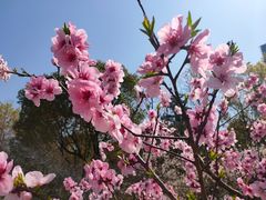 -白塘生态植物园