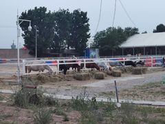 -大汗行宫园林餐厅