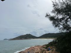 -广东惠东海龟国家级自然保护区