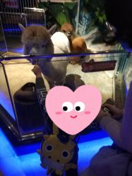 -未来动物城动物主题公园(大悦城店)