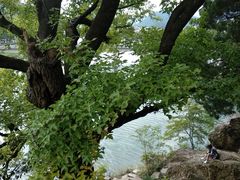 -溪口-滕头旅游景区