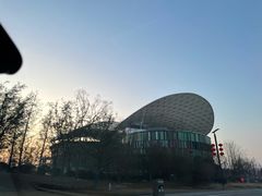 -黄海国家森林公园