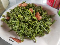 木兰芽-京北渔家傲