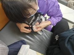 -北京观赏动物医院·24小时大型综合·猫专科·异宠专科
