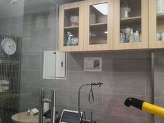 -宠福鑫康馨动物医院·骨科·眼科
