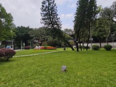 -荔湾湖公园