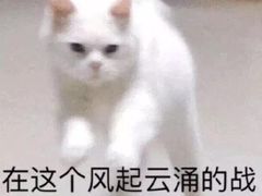 -高第街56号港式餐厅(山大路店)
