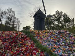 -共青国家森林公园-售票处