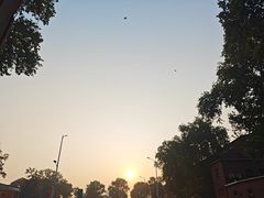 -烤匠麻辣烤鱼(万象城店)