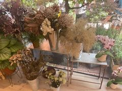 -二酉书店TOYOU BOOKS