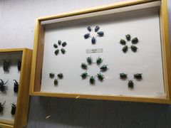 -青藏高原自然博物馆