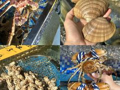 -陈鹏鹏潮汕菜(欢乐海岸 海边景观店)