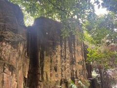 -铁山坪森林公园