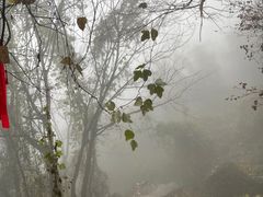 -秦岭终南山世界地质公园翠华山景区