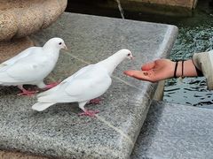 -王府井奥莱临潼小镇(临潼店)