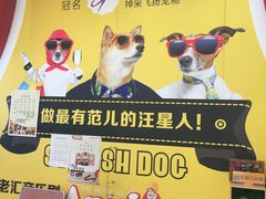 -神采飞扬宠物美容(香港路店)