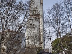 -紫峰大厦