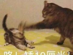 -复旦大学江湾校区食堂