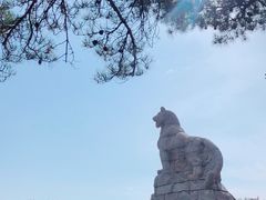 -帽儿山国家森林公园