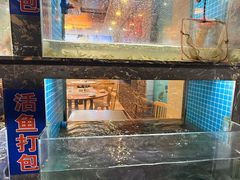 -浔味·山屿湖·正宗淳牌全鱼宴老字号