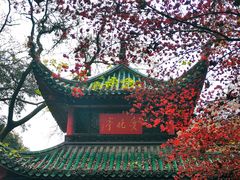 -岳麓山风景名胜区