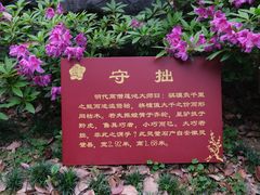 -无锡梅园公园