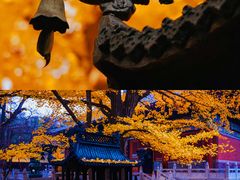 -沉浸北京·团建旅行·密室剧本杀·年会会议轰趴拓展