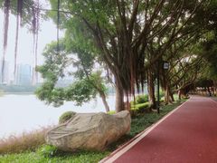 -南宁南湖公园