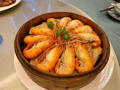 白灼明虾-沙龙酒家