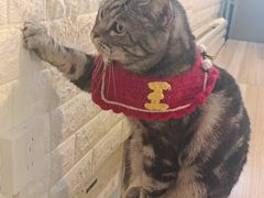 -平行世界·猫咖(首经贸店)