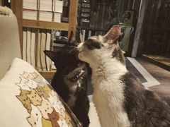 -小时光咖啡馆(开森度假森林店)