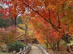 -香山公园