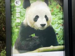 -桔子酒店(成都金牛万达店)