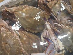 -阿明小菜·海鲜·上海菜(梅陇华理店)