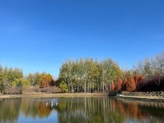 -仁和公园(顺义区)